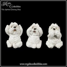 Beeldjes Three Wise Westies 8cm (West Highland White Terriers) (Horen - Zien - Zwijgen) (Hond - Honden)