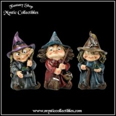 WI-FG007 Beeldjes The Three Little Witches - Double Double - Toil & Trouble (Heks - Witch - Heksen)
