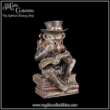 Beeld Steampunk Chimpanzee Scholar 19.5cm - Nemesis Now (Aap - Apen)