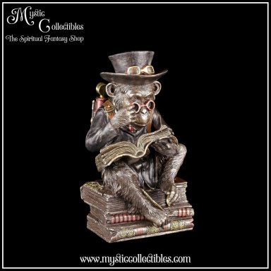 Beeld Steampunk Chimpanzee Scholar 19.5cm - Nemesis Now (Apen)