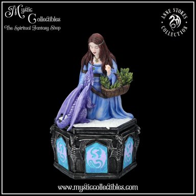 Doosje Winter Box - Dragon Friendship Collection - Anne Stokes (Draak - Draken)