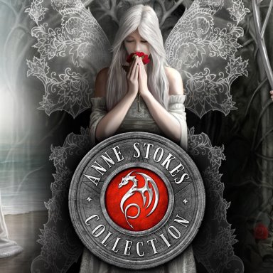 Anne Stokes Collectie