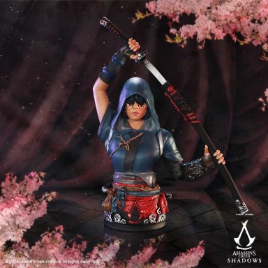 Assassin's Creed Collectie