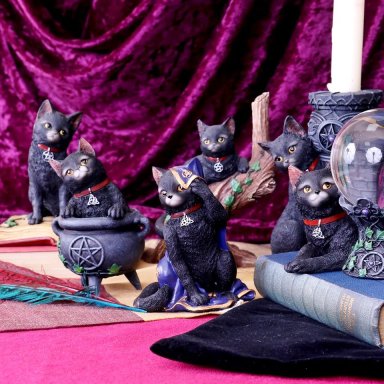 Cats Of The Coven Collectie