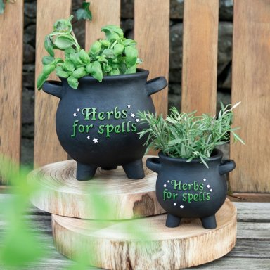 Witches Garden