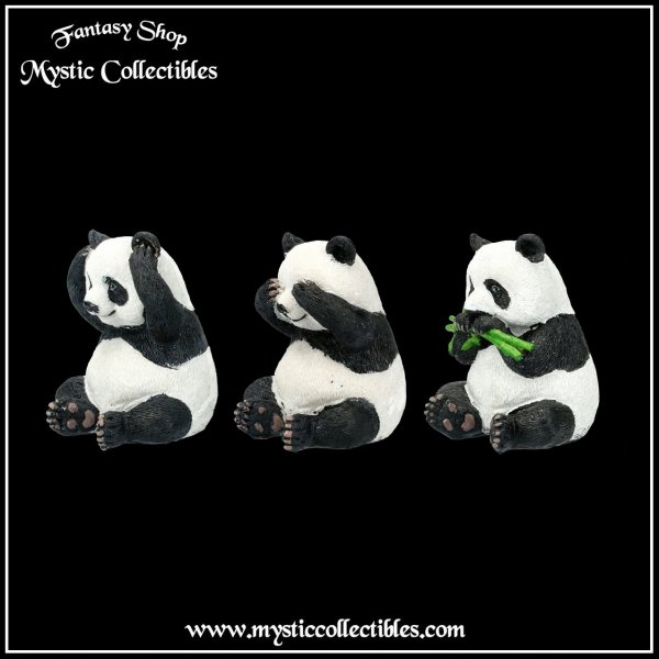 an-fg007-3-three-wise-pandas