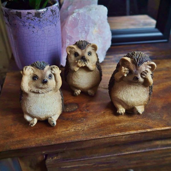 an-fg009-5-figurines-three-wise-hedgehogs