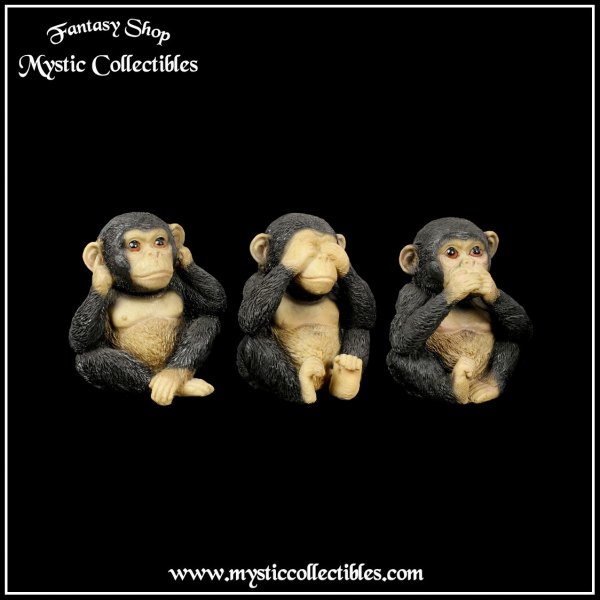 an-fg015-2-three-wise-chimps
