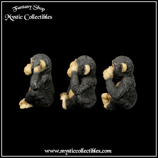 an-fg015-3-three-wise-chimps