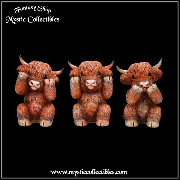 an-fg021-1-figurines-three-wise-highland-cows