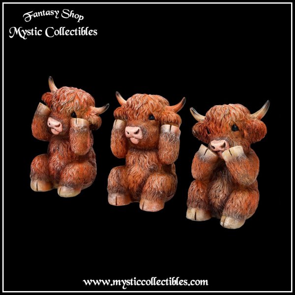an-fg021-2-figurines-three-wise-highland-cows