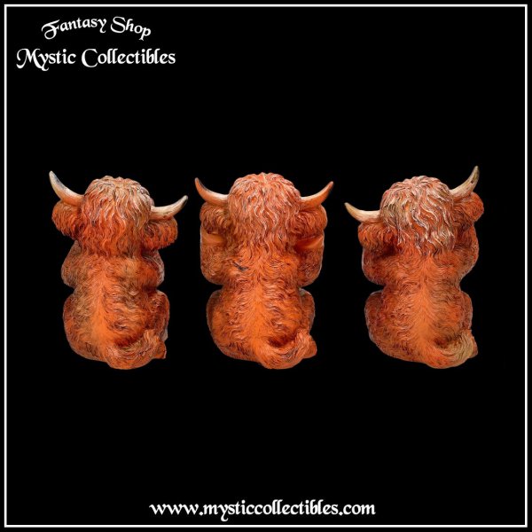 an-fg021-3-figurines-three-wise-highland-cows