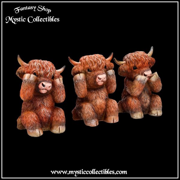 an-fg021-4-figurines-three-wise-highland-cows