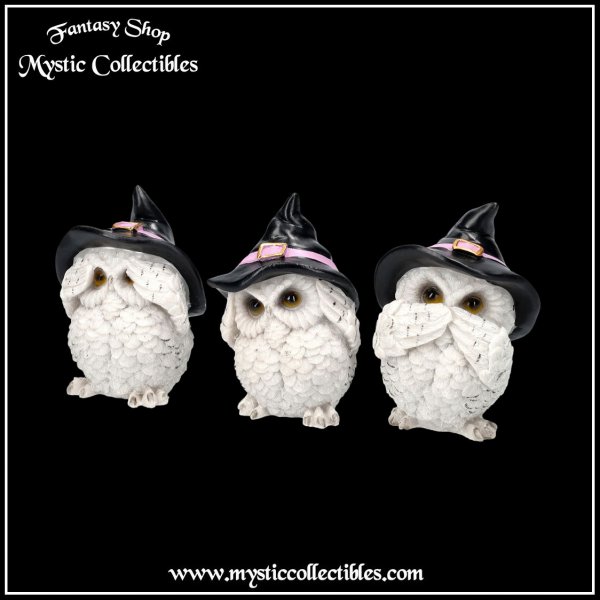ow-fg025-2-figurines-three-wise-feathered-familiar