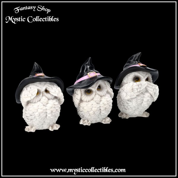 ow-fg025-4-figurines-three-wise-feathered-familiar