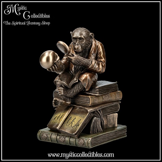 ap-bx001-3-box-darwinism-of-evolutionary-theory