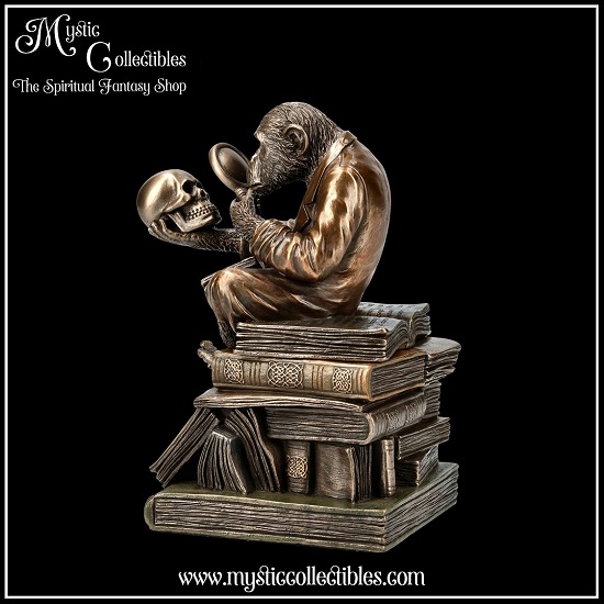 ap-bx001-4-box-darwinism-of-evolutionary-theory