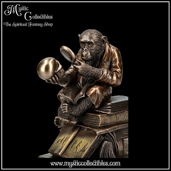 ap-bx001-7-box-darwinism-of-evolutionary-theory