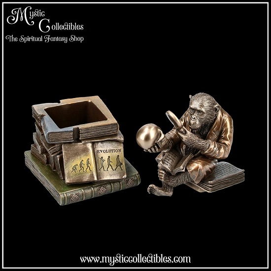 ap-bx001-8-box-darwinism-of-evolutionary-theory