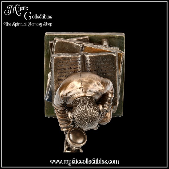 ap-bx001-9-box-darwinism-of-evolutionary-theory