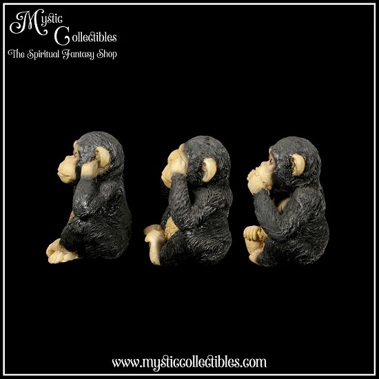 ap-fg002-2-three-wise-chimps