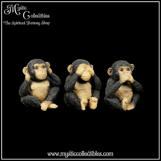 ap-fg002-4-three-wise-chimps