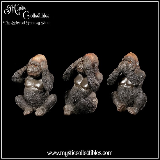 ap-fg003-2-three-wise-gorillas