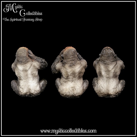 ap-fg003-3-three-wise-gorillas