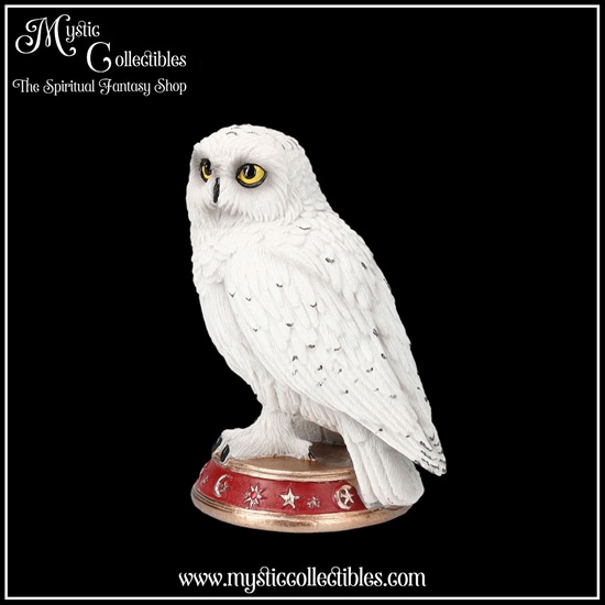 ow-fg016-2-figurine-wizard-s-familiar