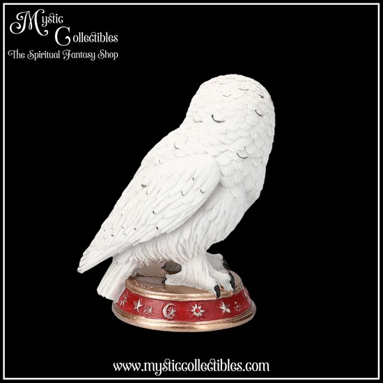 ow-fg016-4-figurine-wizard-s-familiar