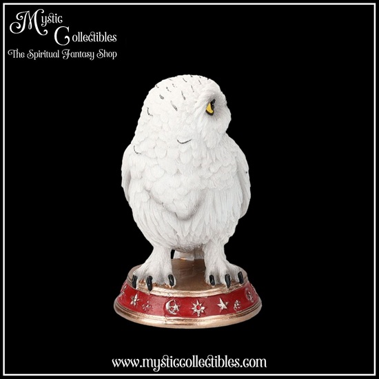 ow-fg016-5-figurine-wizard-s-familiar