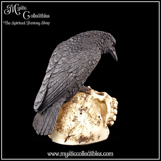 ra-fg003-3-figurine-ravens-remains