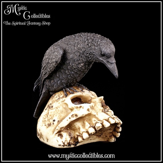ra-fg003-4-figurine-ravens-remains