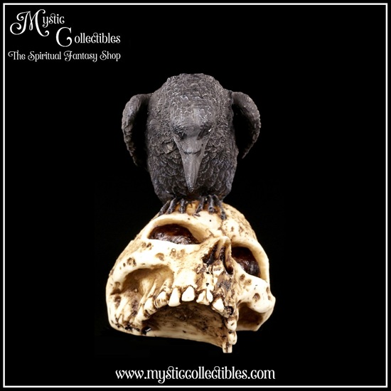 ra-fg003-5-figurine-ravens-remains