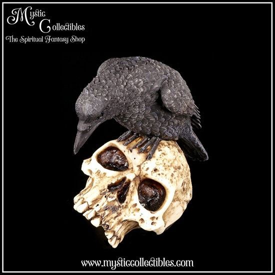 ra-fg003-6-figurine-ravens-remains