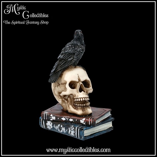 ra-fg004-1-figurine-raven-s-spell