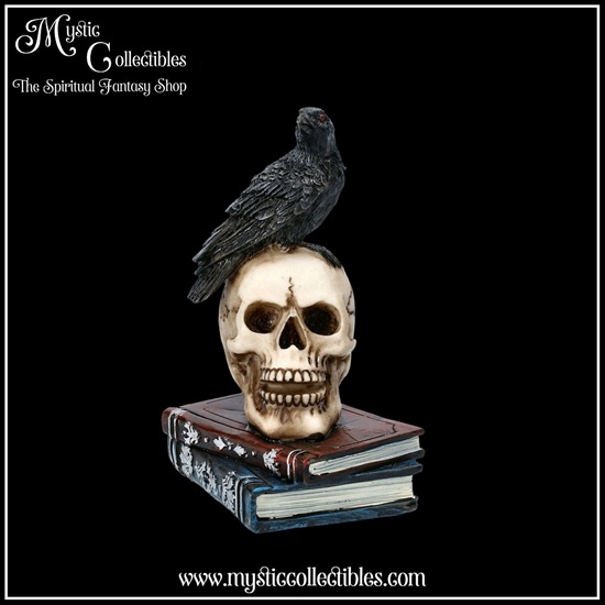 ra-fg004-2-figurine-raven-s-spell