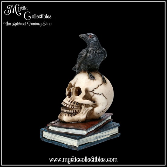 ra-fg004-3-figurine-raven-s-spell