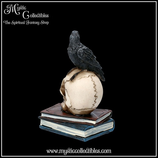 ra-fg004-4-figurine-raven-s-spell