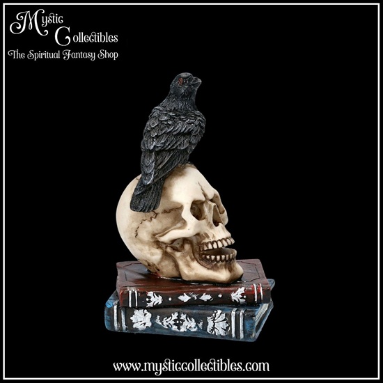 ra-fg004-6-figurine-raven-s-spell