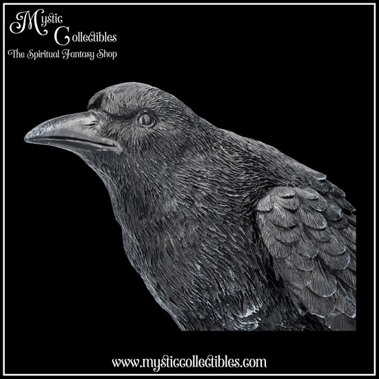 ra-fg009-7-figurine-raven-messenger