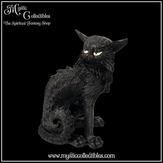 ct-fg029-2-figurine-salem-small