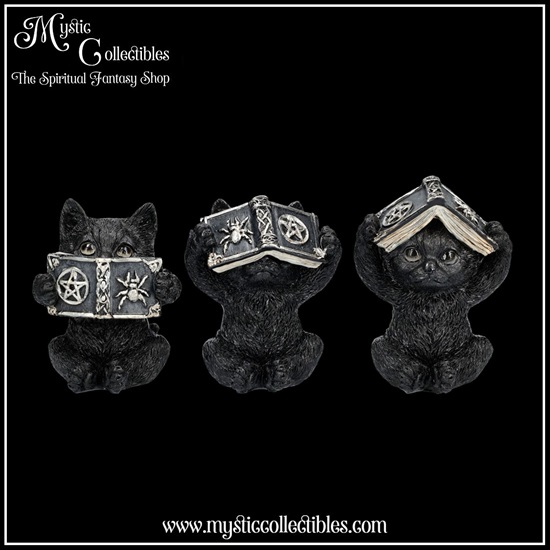 ct-fg037-1-figurines-three-wise-spell-cats