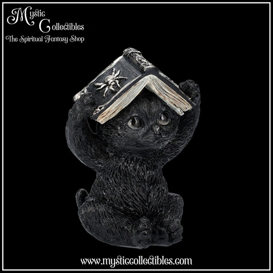 ct-fg037-5-figurines-three-wise-spell-cats