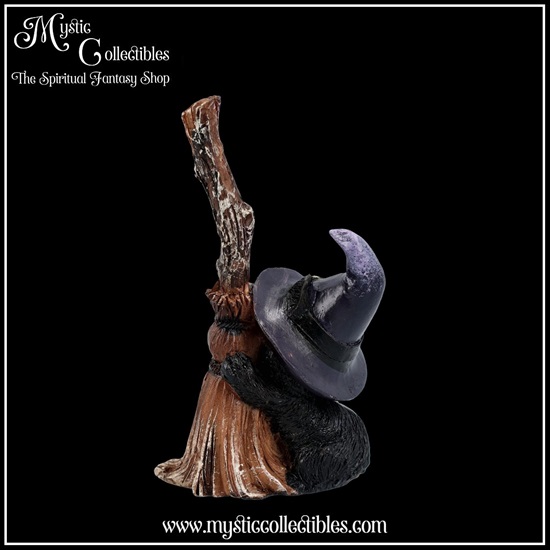 ct-fg044-3-figurine-familiars-broom