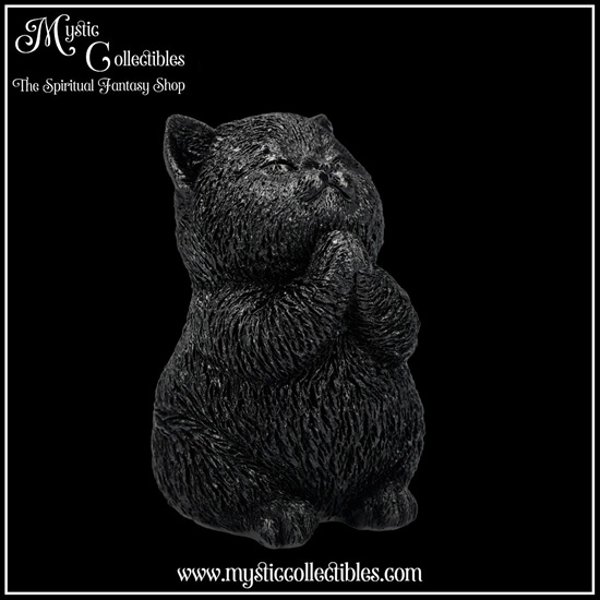ct-fg062-6-figurine-whisker-wish