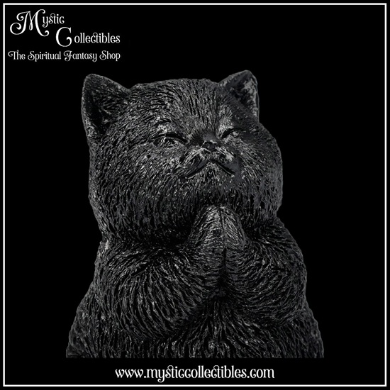ct-fg062-7-figurine-whisker-wish