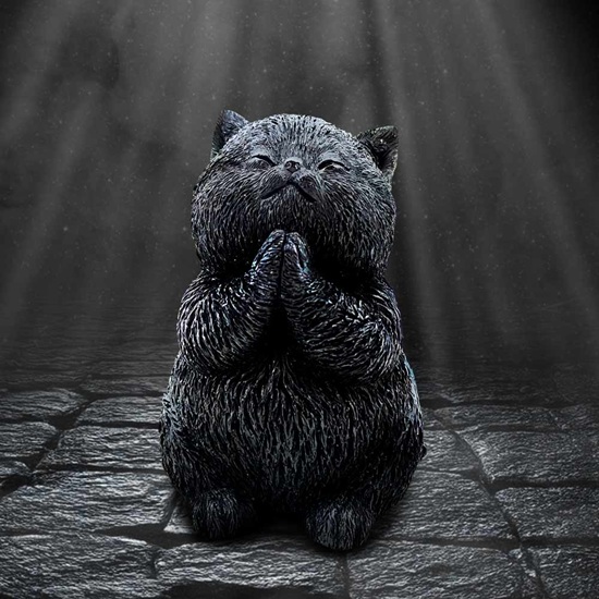 ct-fg062-8-figurine-whisker-wish