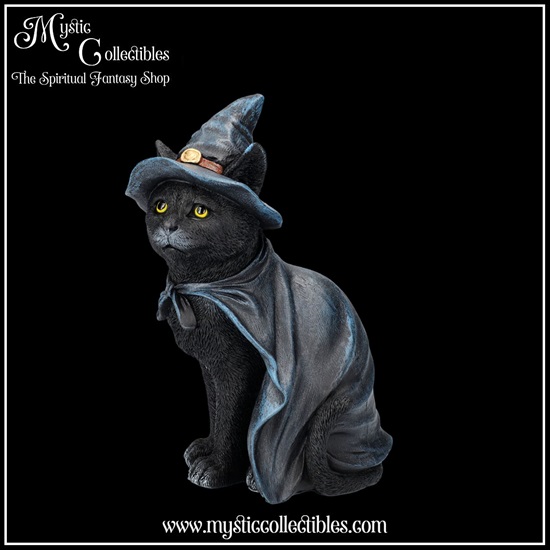 ct-fg064-2-figurine-bewitching