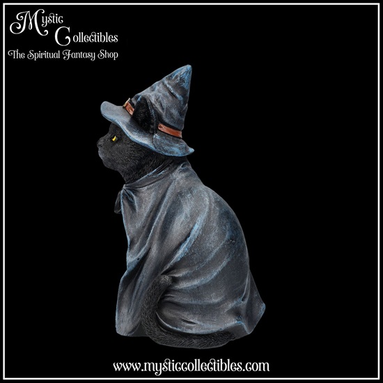 ct-fg064-3-figurine-bewitching